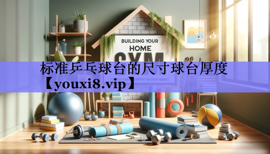 标准乒乓球台的尺寸球台厚度