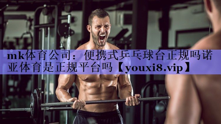 mk体育公司：便携式乒乓球台正规吗诺亚体育是正规平台吗