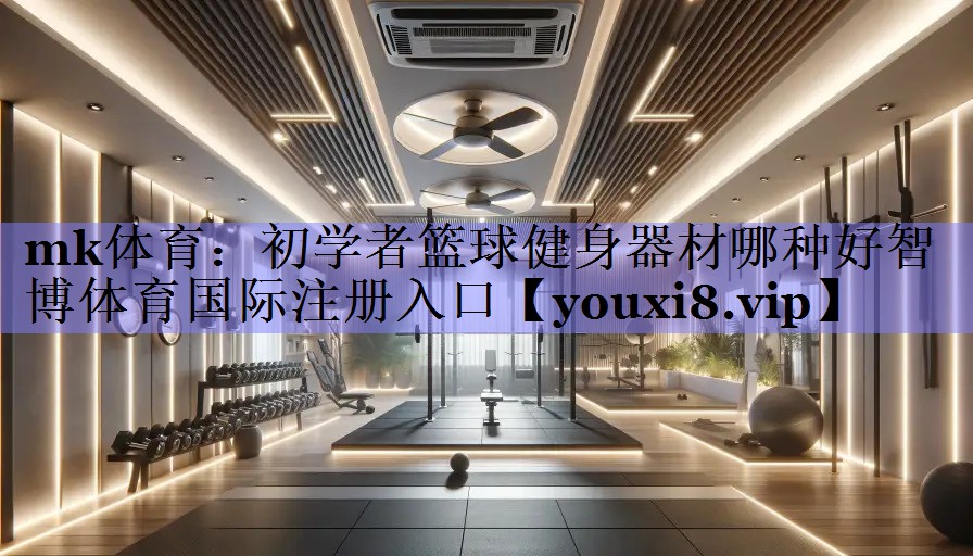 mk体育：初学者篮球健身器材哪种好智博体育国际注册入口