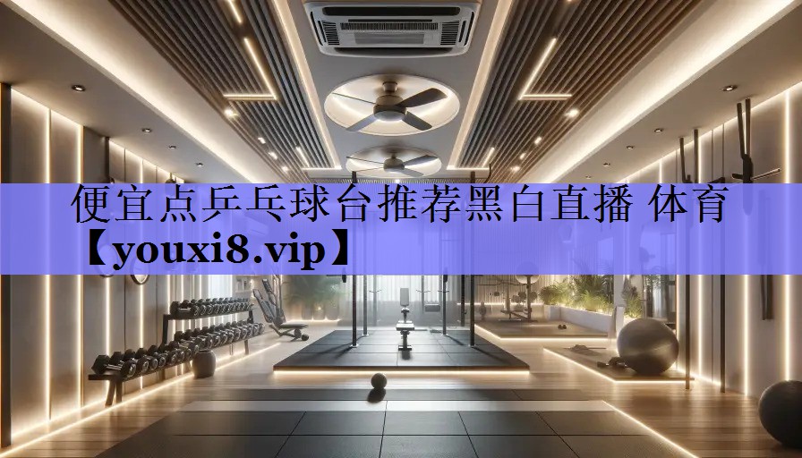 便宜点乒乓球台推荐黑白直播 体育