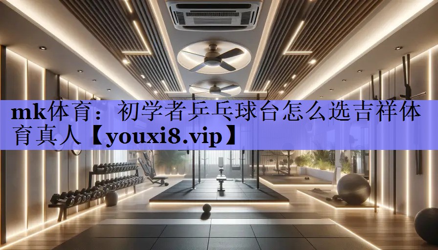 mk体育：初学者乒乓球台怎么选吉祥体育真人