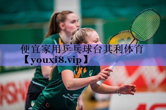 便宜家用乒乓球台其利体育