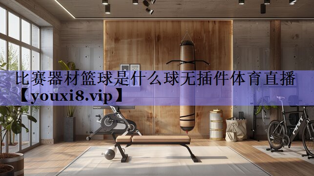 比赛器材篮球是什么球无插件体育直播