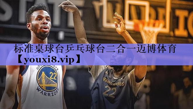标准桌球台乒乓球台二合一迈博体育