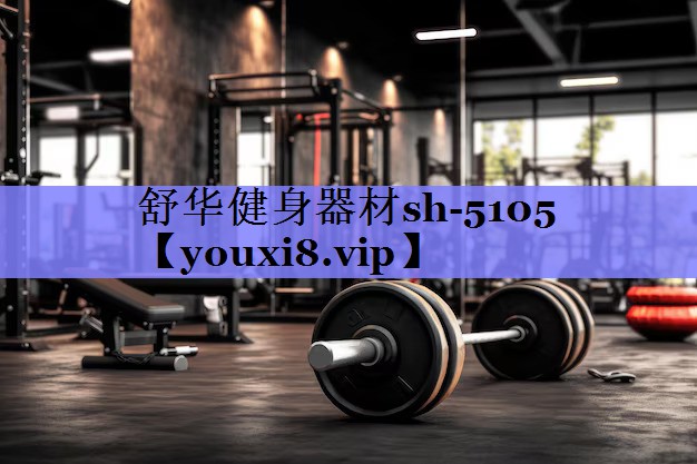 舒华健身器材sh-5105