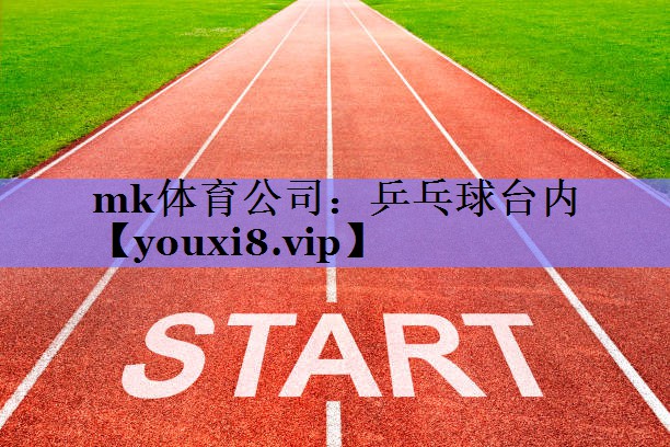 乒乓球台内