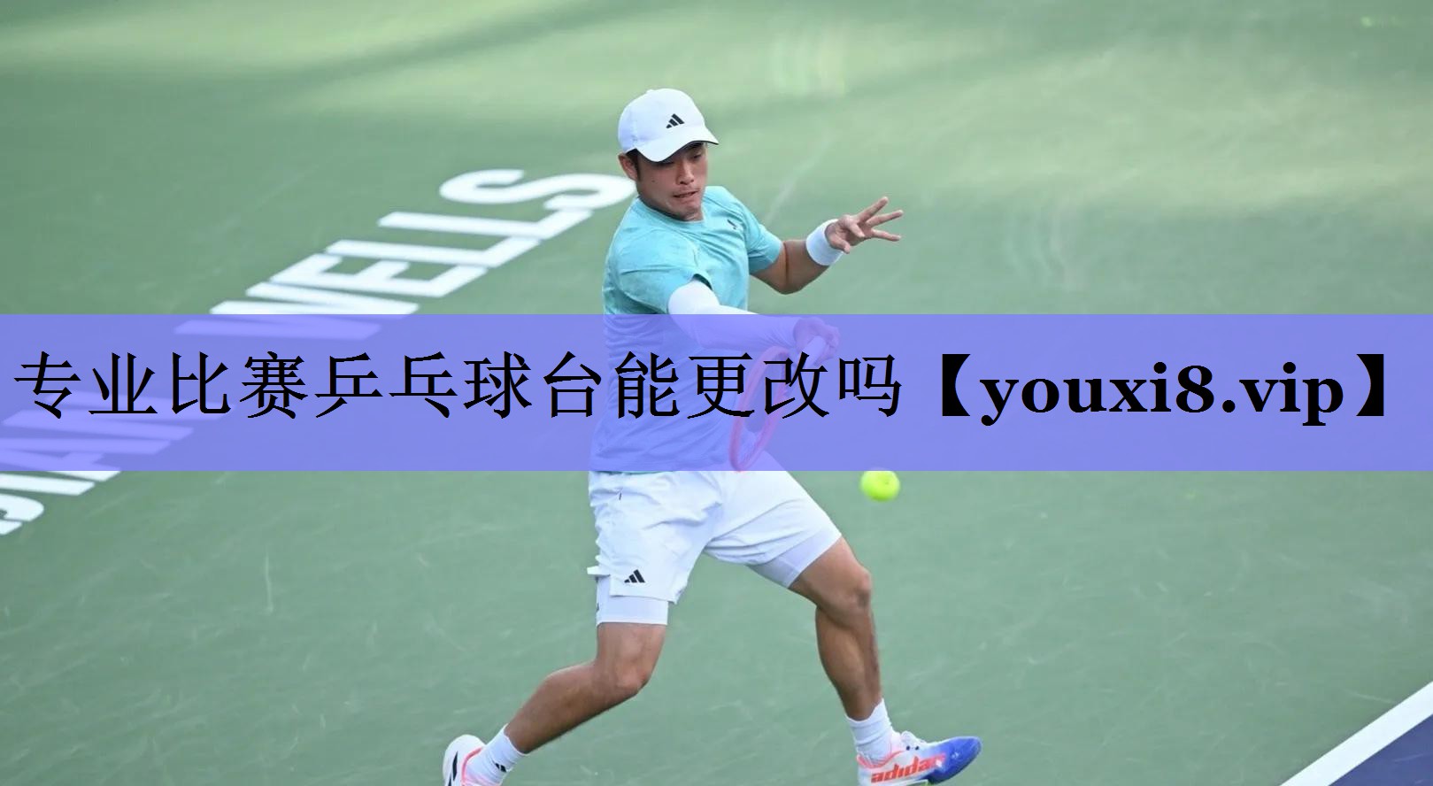 专业比赛乒乓球台能更改吗